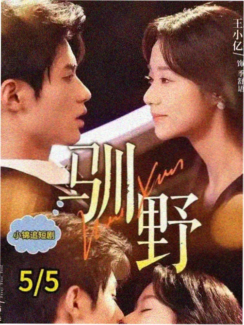 韩剧天堂治愈爱情韩剧晴天预报海报